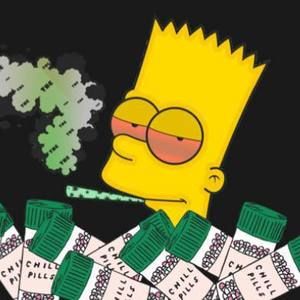 Meet your Posher, Zanz